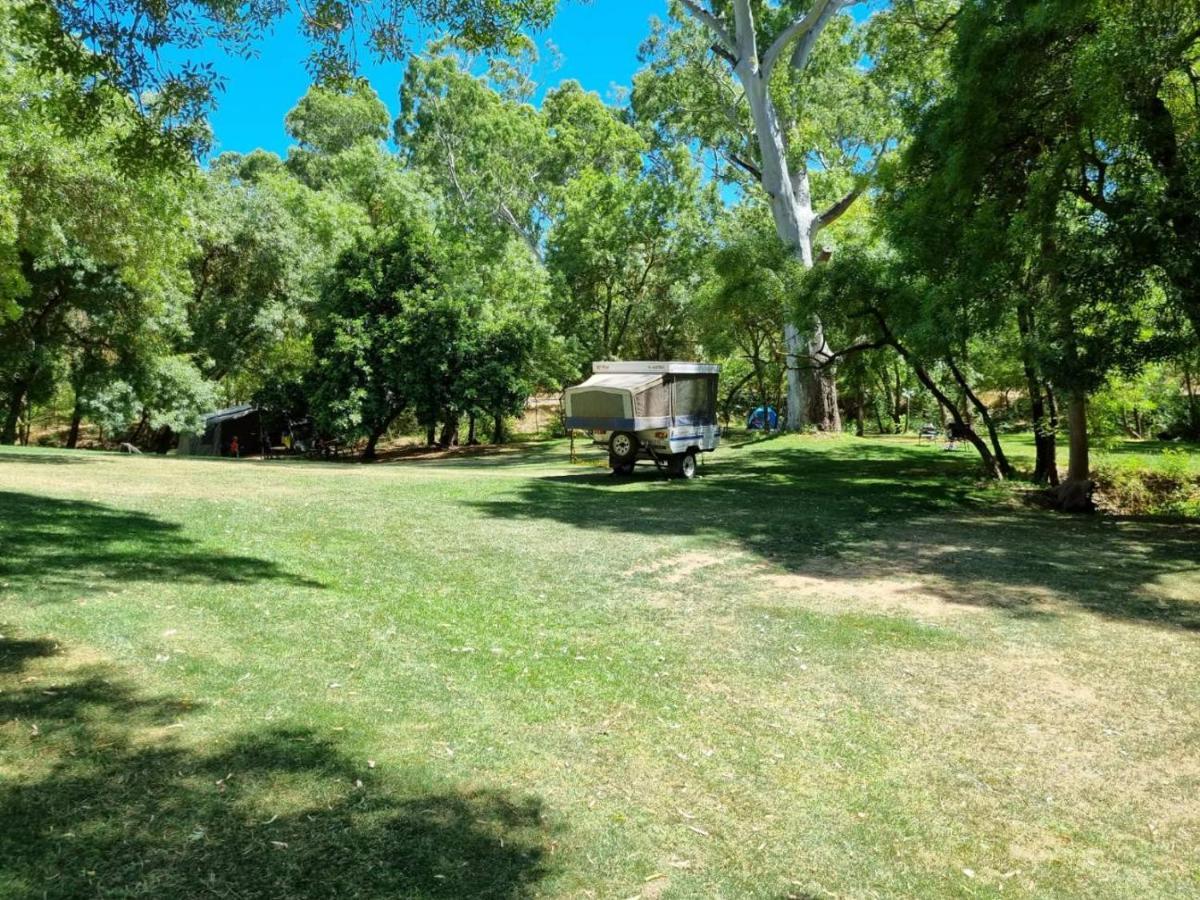 Belair National Park Holiday Park المظهر الخارجي الصورة