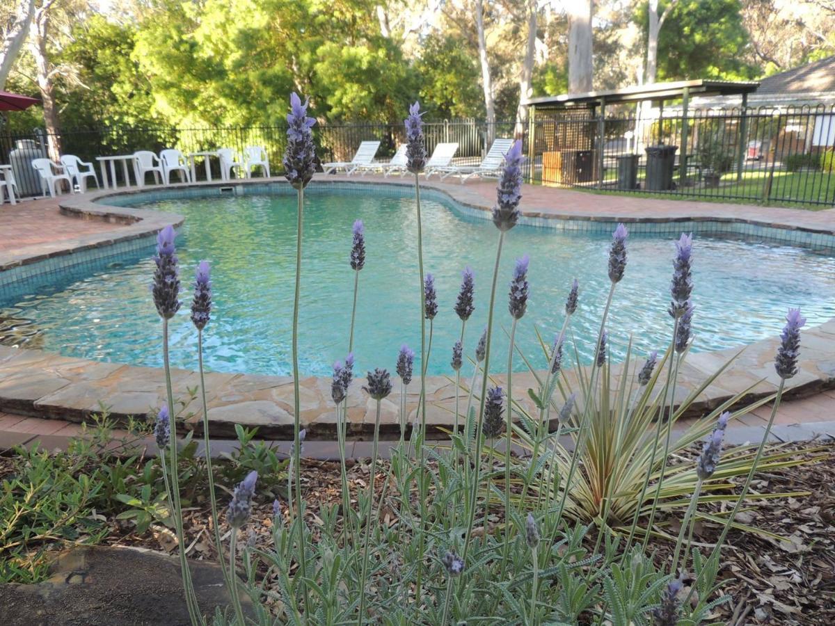 Belair National Park Holiday Park المظهر الخارجي الصورة