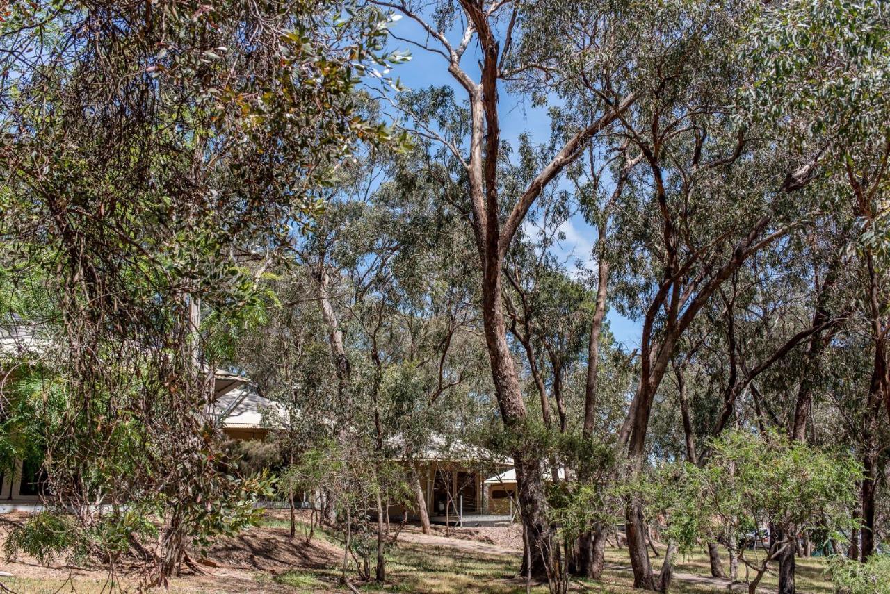Belair National Park Holiday Park المظهر الخارجي الصورة